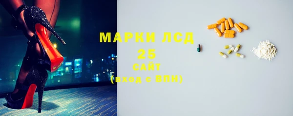 spice Богородицк