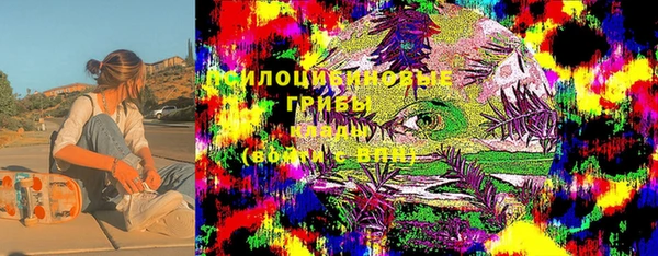 дживик Наволоки