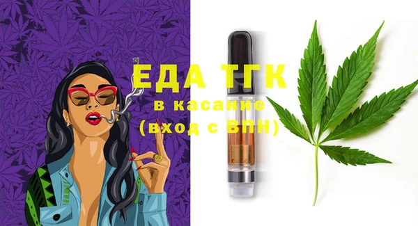 spice Богородицк