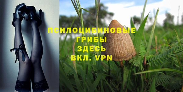 spice Богородицк