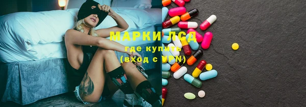 spice Богородицк