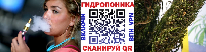 Бошки марихуана план  Купить закладки  Короча 